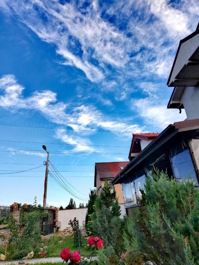 Hotel Casa Alba Năvodari Zewnętrze zdjęcie