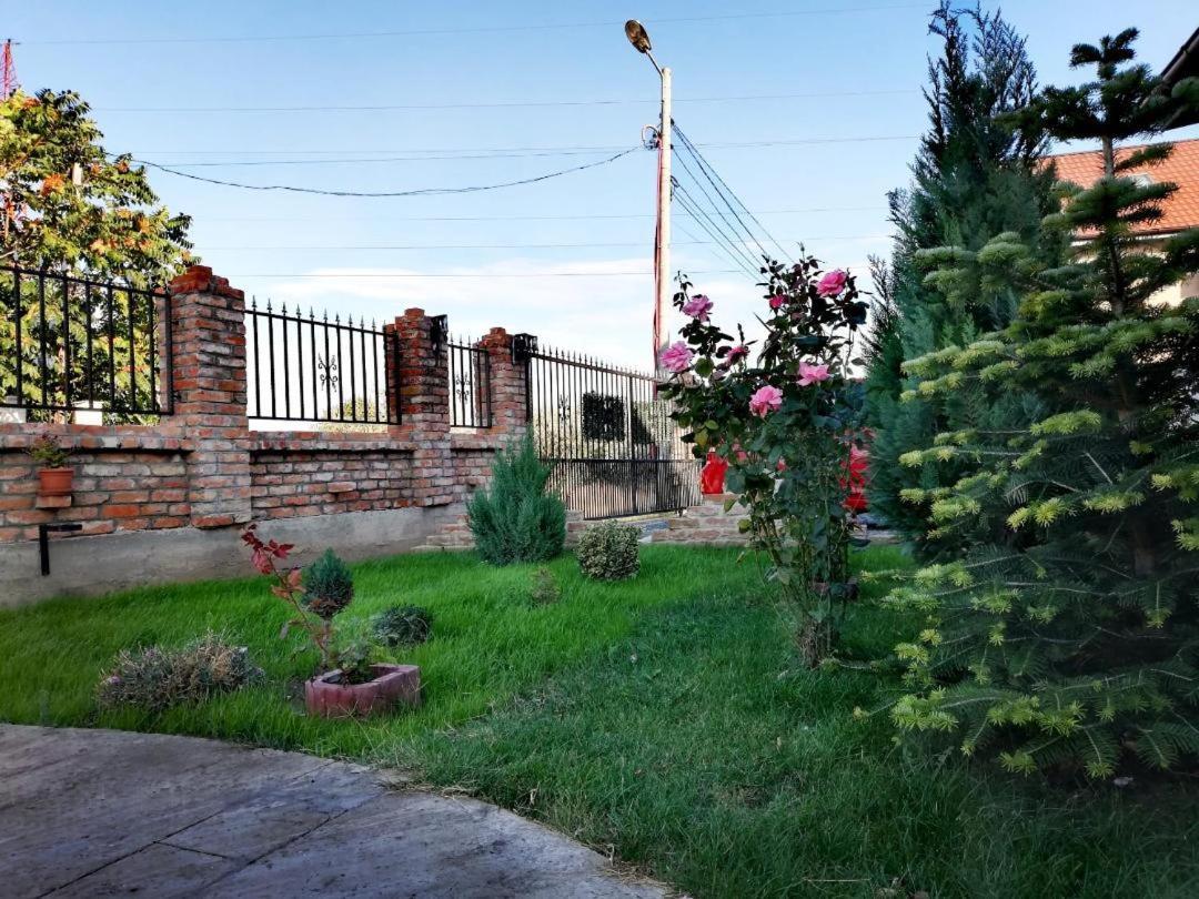Hotel Casa Alba Năvodari Zewnętrze zdjęcie