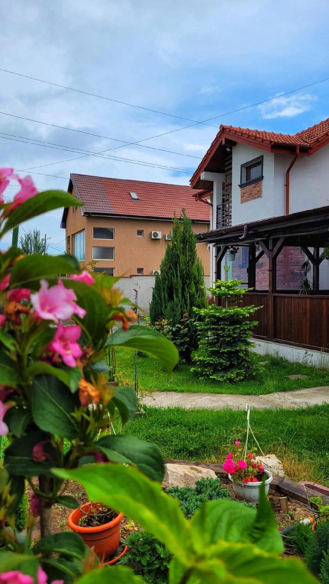 Hotel Casa Alba Năvodari Zewnętrze zdjęcie