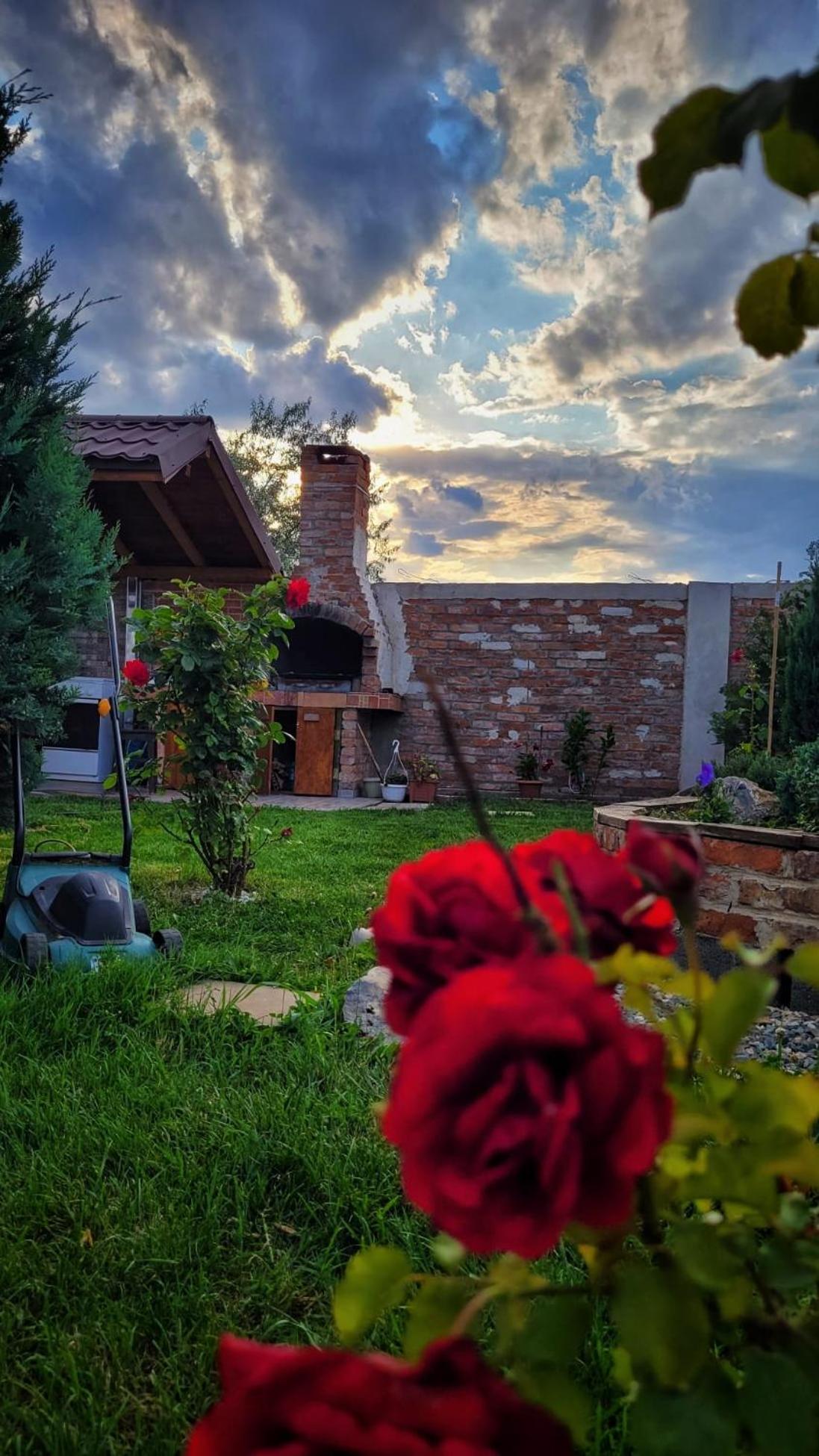 Hotel Casa Alba Năvodari Zewnętrze zdjęcie
