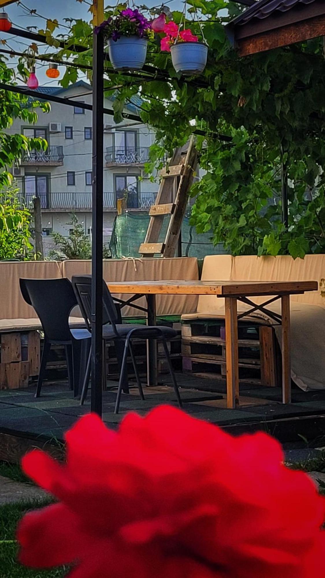 Hotel Casa Alba Năvodari Zewnętrze zdjęcie