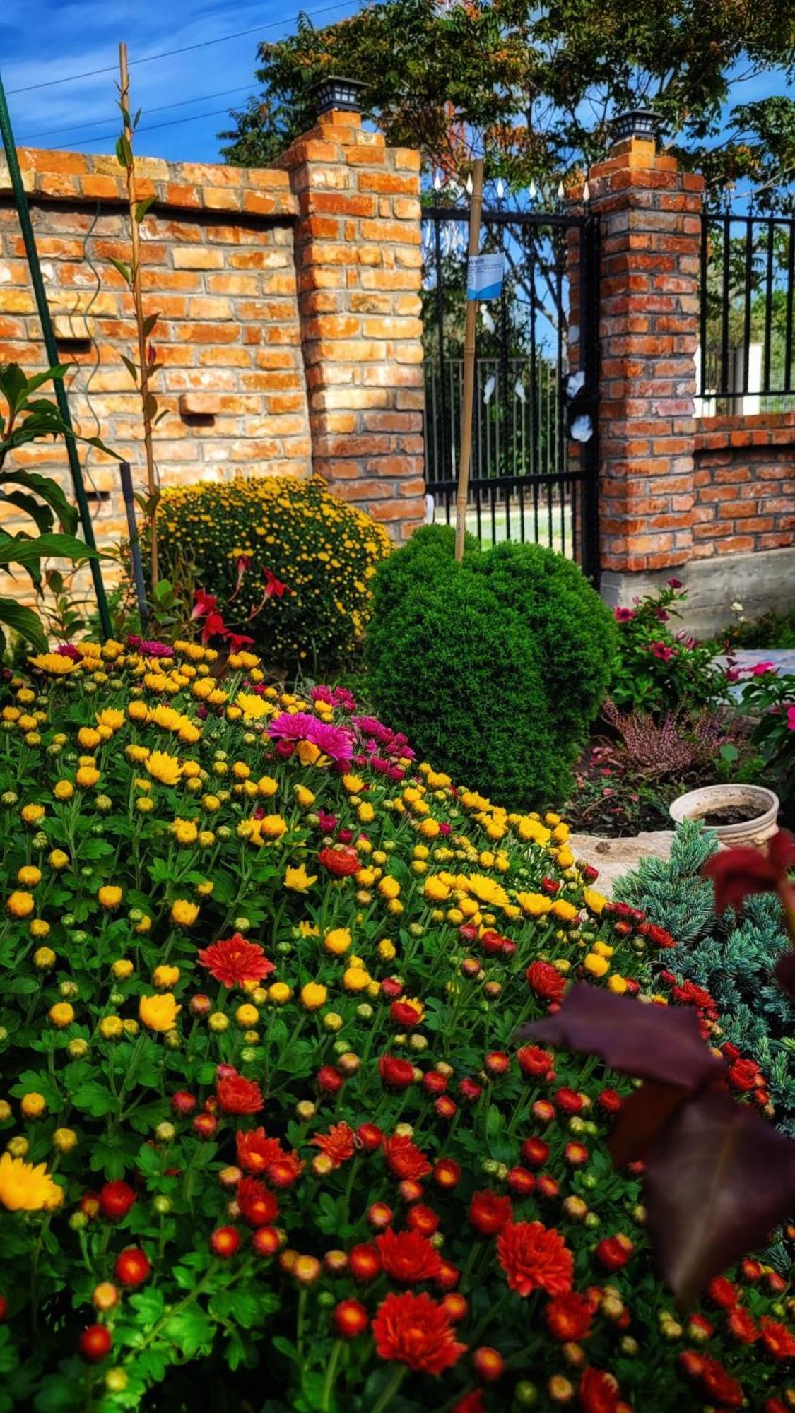 Hotel Casa Alba Năvodari Zewnętrze zdjęcie